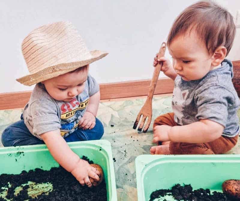 Laboratorio manipolazione